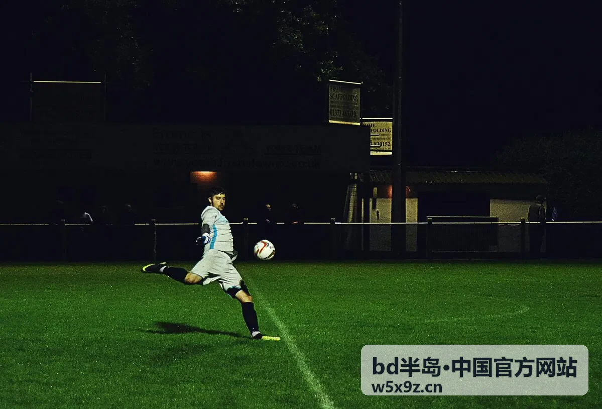 bd半岛·中国官方网站平台服务指南功能分解